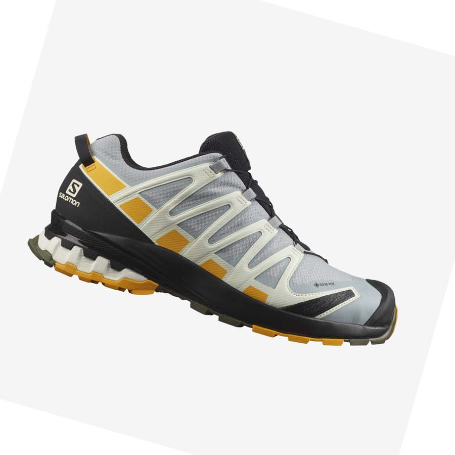 Tenis Para Trail Running Salomon XA PRO 3D v8 GORE-TEX Hombre Negros Grises | MX 3506ZUT